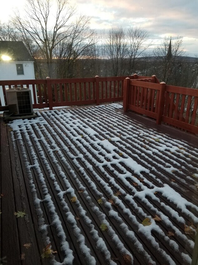 179 Newtonville Ave, Newton, MA 02458 Townhome Rentals in Newton MA