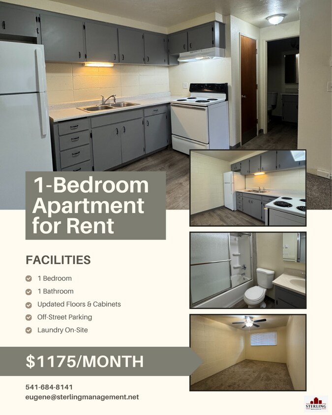 (CAM 10) Very Nice Large 1 bed Apt - Close to U of O - (CAM 10)  Very Nice Large 1 bed Apt - Close to U of O