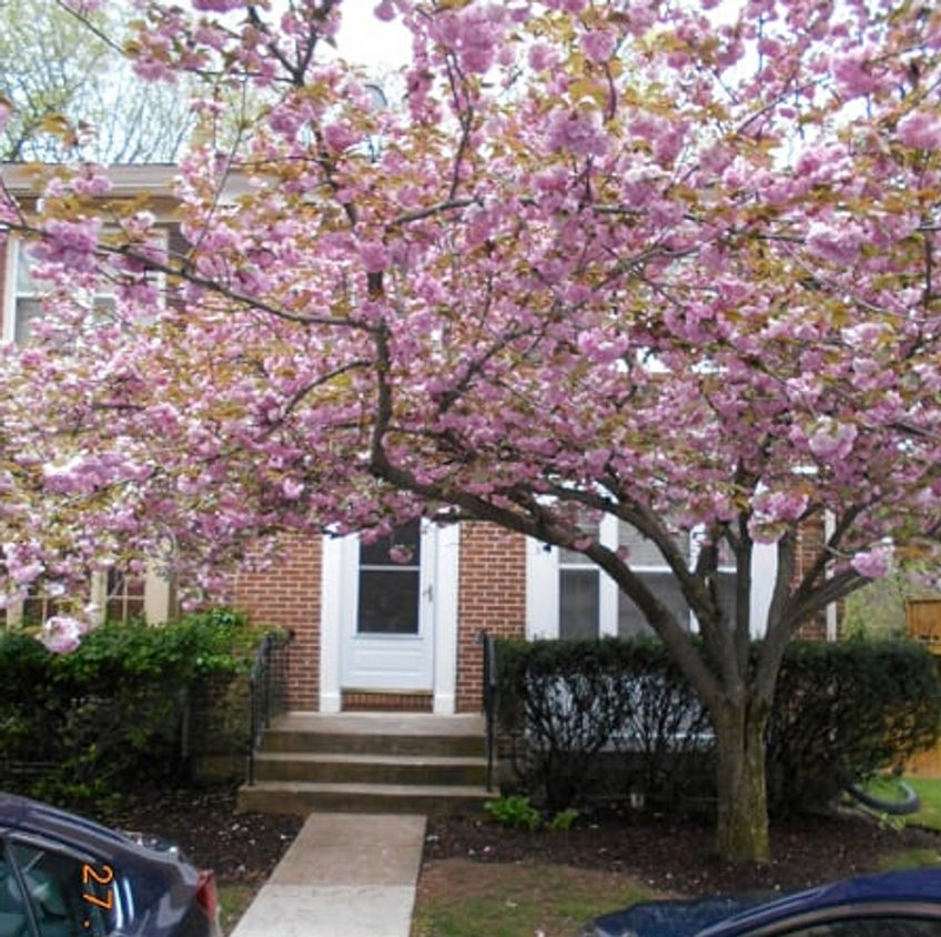 Primary Photo - Updated Townhome Close to METRO