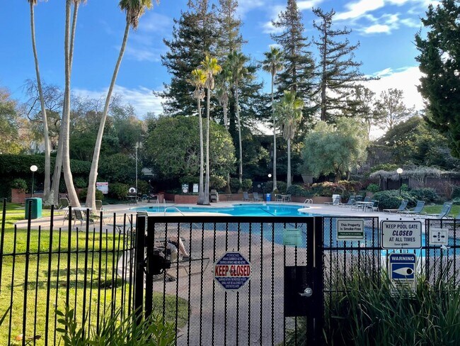 Foto del edificio - 3349 Shelter Creek Ln