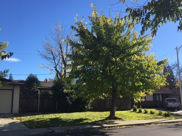 Photo - Hartz Property Management Presents: 1562 Oakroyal Drive in Concord