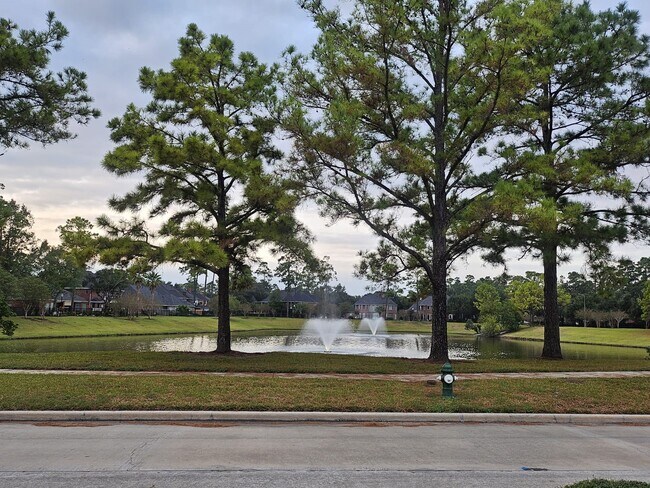 Building Photo - 3007 Smokey Hollow Dr