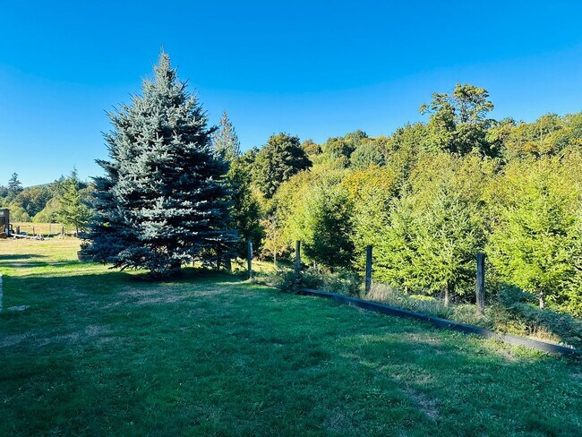 Foto del edificio - Beautiful Acreage Property