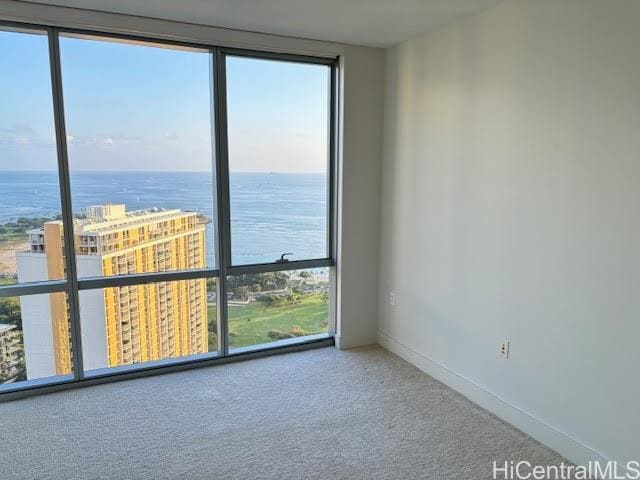 Foto del edificio - 1189 Waimanu St