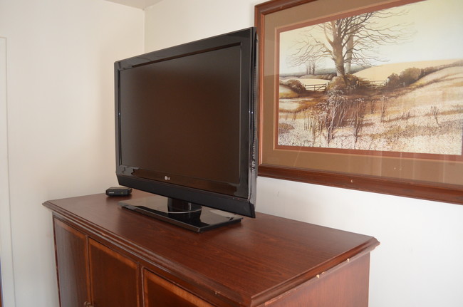 39" LG Flat Screen - McLure House Apartments