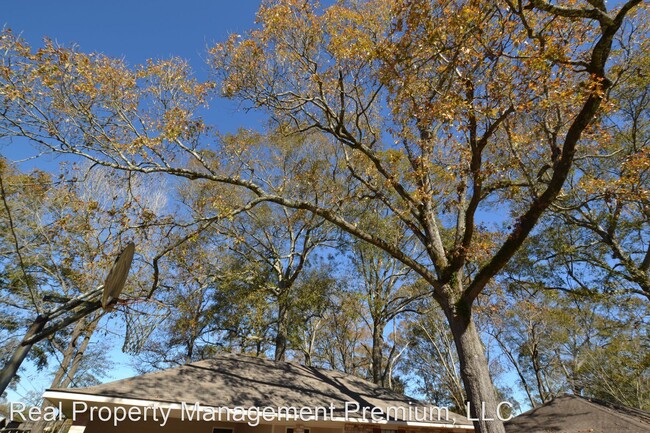 Building Photo - 3 br, 2 bath House - 3813 Cypress Park Dr