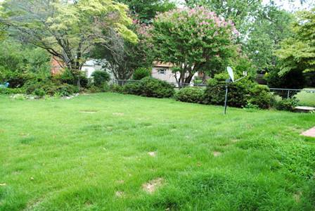 Backyard - 5902 Fitzhugh Ave