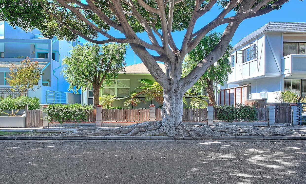 Foto principal - 839 Grant St