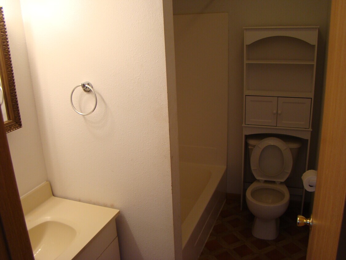 Master bathroom - 403 E Main St