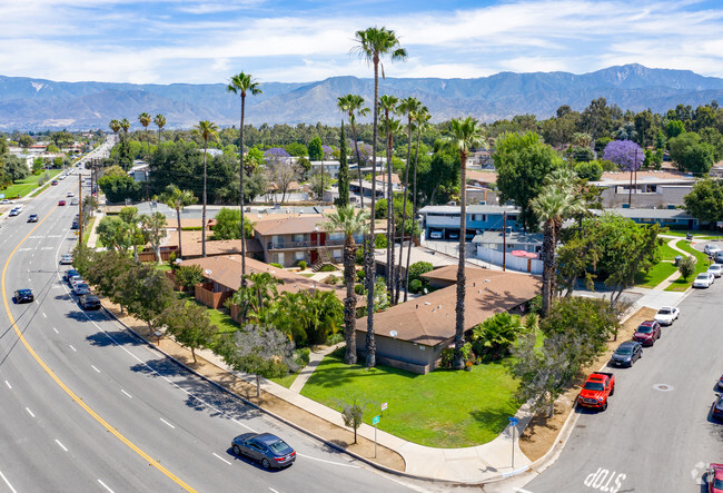 Building Photo - Palm Gardens