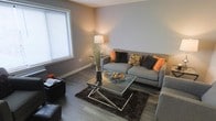 This single-story space showcases a thoughtfully designed living area that combines contemporary style with a warm, inviting ambiance. The room is finished with wood-style plank flooring in a cool gray-brown tone, which pairs seamlessly with the neutral gray walls to create a cohesive, modern aesthetic throughout.

The living area is anchored by a gray upholstered sofa adorned with decorative pillows in orange, brown, and floral patterns, adding visual interest and warmth to the space. A sleek glass-top coffee table with a metallic cross-base frame serves as a functional centerpiece, complemented by a plush dark brown area rug underneath. A matching gray sectional piece is partially visible, suggesting ample seating capacity.

Natural light enters through a large window dressed with horizontal blinds, brightening the space while allowing light control. A tall decorative floor lamp with a sculptural base adds ambient lighting and a vertical design element alongside a striking arrangement of natural grasses in a dark vase. Clean white baseboards provide a crisp contrast against the flooring and walls, contributing to the space's polished, well-maintained appearance.