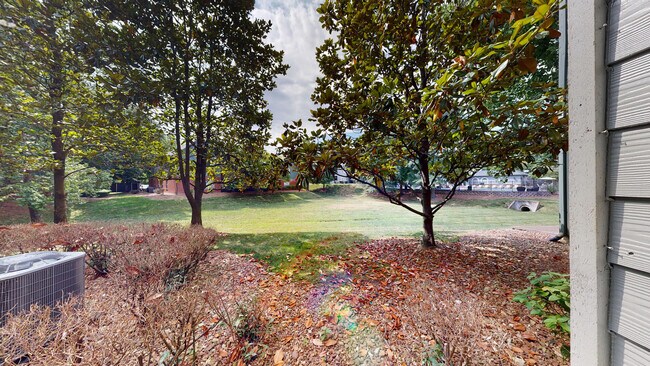 Interior Photo - Colonnade