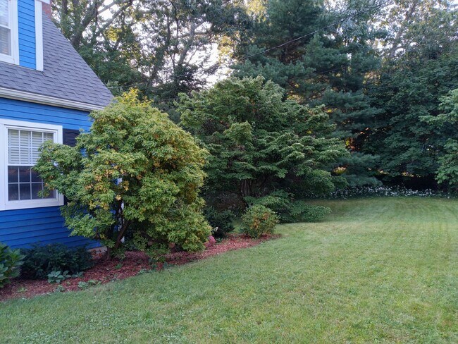 Foto del edificio - 288 Cedar St