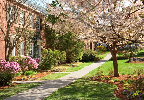 catholic singles in brookline village Here are our special lists of organizations from the database that offer religious based senior living: christian senior care catholic senior care lutheran senior. catholic singles in brookline village Here are our special lists of organizations from the database that offer religious based senior living: christian senior care catholic senior care lutheran senior.