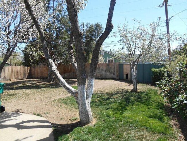 Building Photo - Welcome to your dream home in Northeast Re...