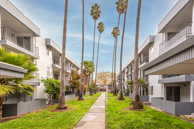 Courtyard view with Palm trees - The Palms at Coddingtown