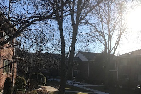 Courtyard - 303 Grand Ave