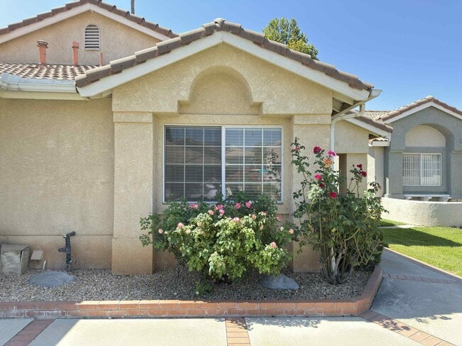 Building Photo - 2890 Summer Set Cir