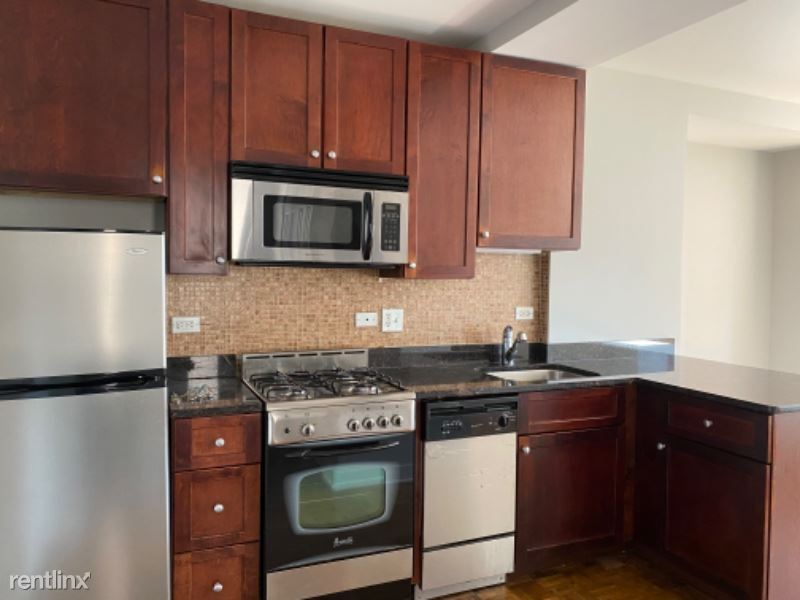 Foto principal - 1402 N Lake Shore Dr