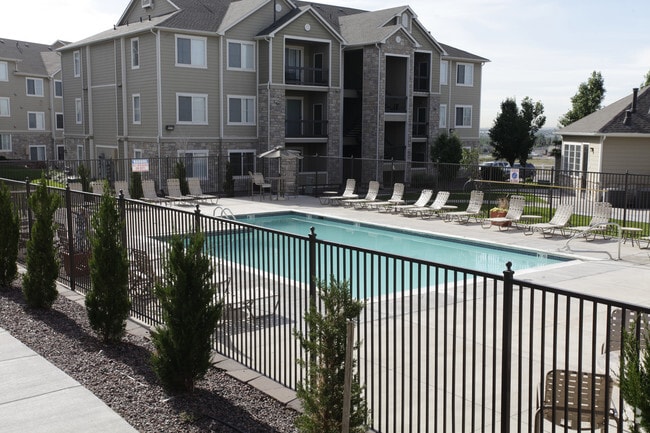 Pool - Reserve at Thornton