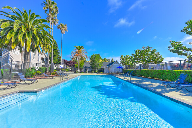 Building Photo - Bay Vista at Meadow Park