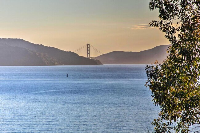 Foto del edificio - 60 Belvedere Ave