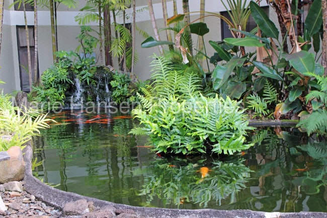 Building Photo - 1020 Aoloa Place,Kailua, HI 96734