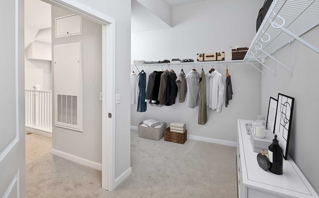 Spacious walk-in closets - Avalon Harrison