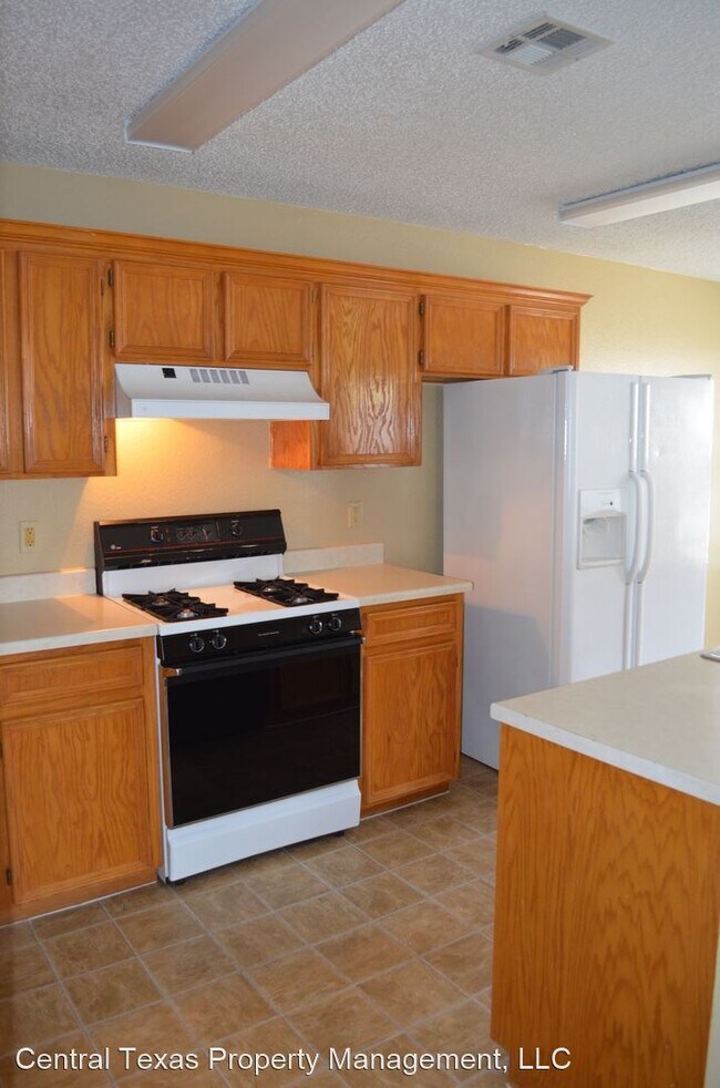 Building Photo - 3 br, 2 bath House - 305 Dillon Dr
