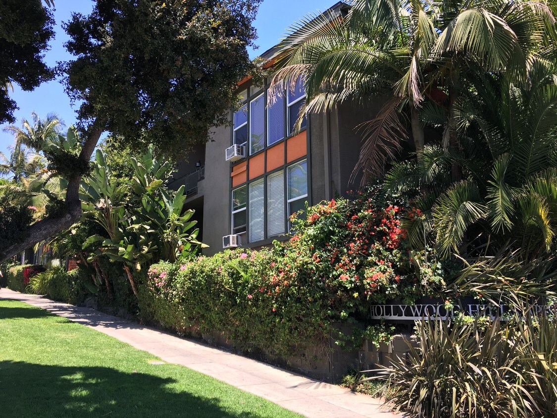 Foto principal - 1710 Camino Palmero St
