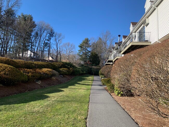Pasarela de entrada - 28 Williamsburg Ct