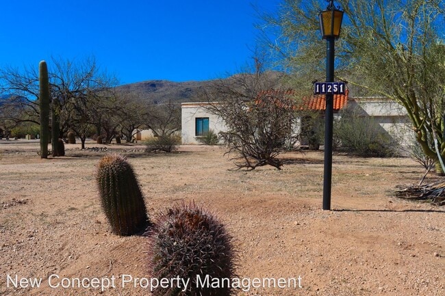 Building Photo - 3 br, 2.5 bath House - 11251 E Placita Molino