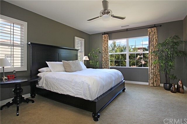 Building Photo - 25 Torrey Pine