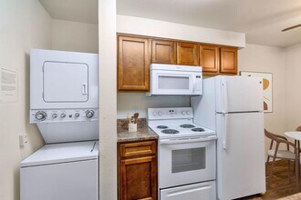 Interior Photo - Sahara and Playa Palms