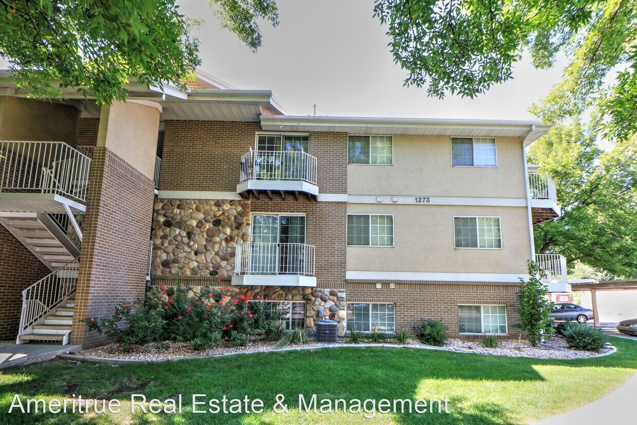 Primary Photo - 3 br, 2 bath House - 1273 Riverside Ave #11