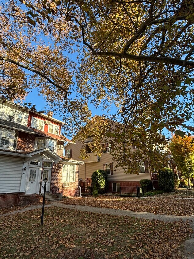 Primary Photo - 1503 DeKalb St