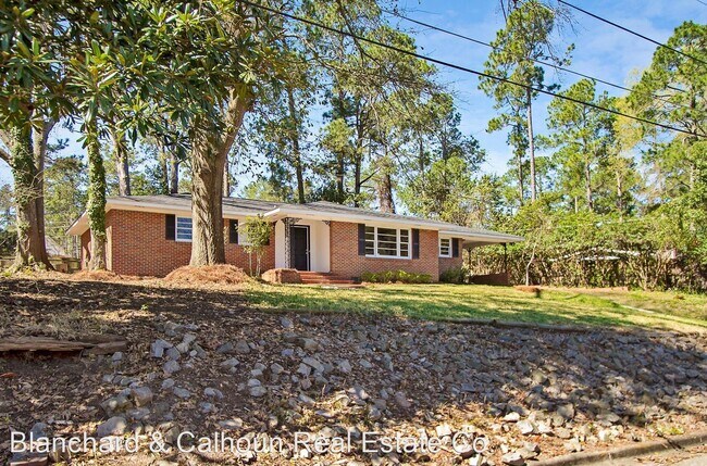 Building Photo - 3 br, 2 bath House - 603 Trafalgar Lane