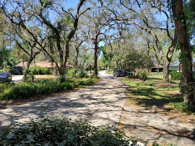 Tree lined driveway and quiet street. - 2944 Sandy Branch Ln