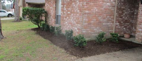 Foto del edificio - 6222 Forestgate Dr