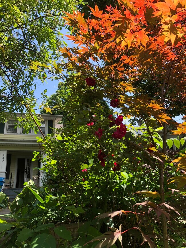 Foto del edificio - 933 Highland Ave SE