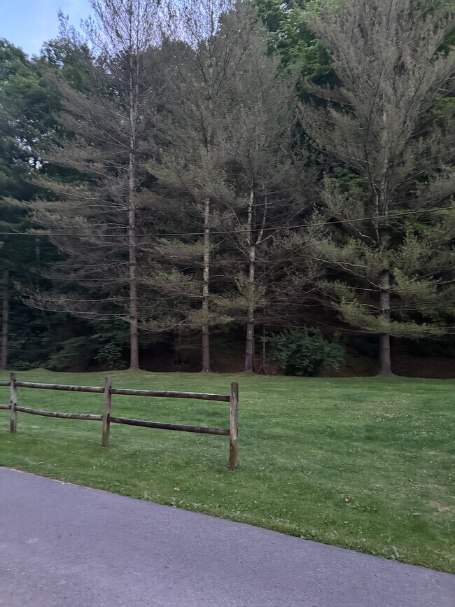 Foto del edificio - 536 Whitley Ln