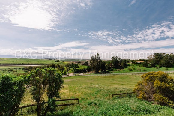 Building Photo - 9865 Rolling Meadows Ln