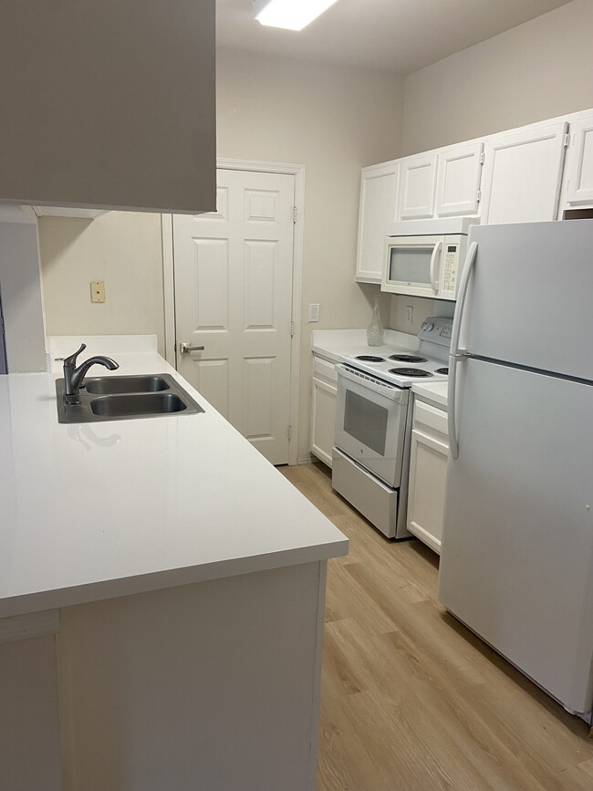 Building Photo - 221 Colima Ct
