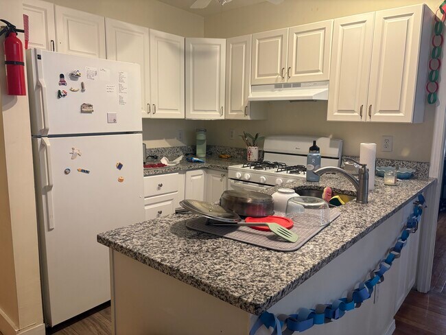 Building Photo - 62 Egmont St