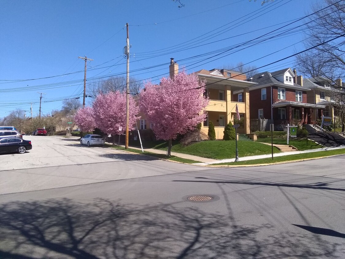 Primary Photo - Beautifully Rehabbed Central Oakmont apart...