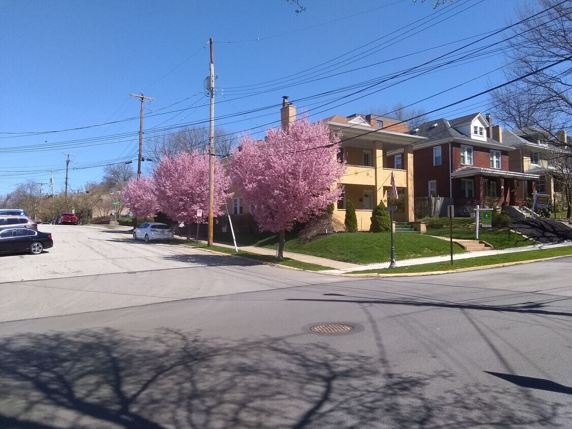 Beautifully Rehabbed Central Oakmont apart... - Beautifully Rehabbed Central Oakmont apart...