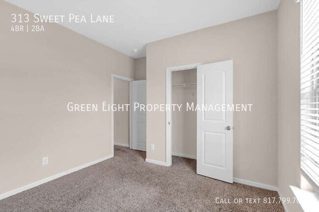 Foto del edificio - 313 Sweet Pea Ln