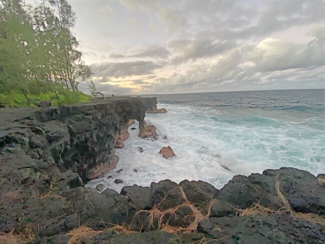 Building Photo - Beautiful Oceanfront 1 Bedroom Unit on Kal...