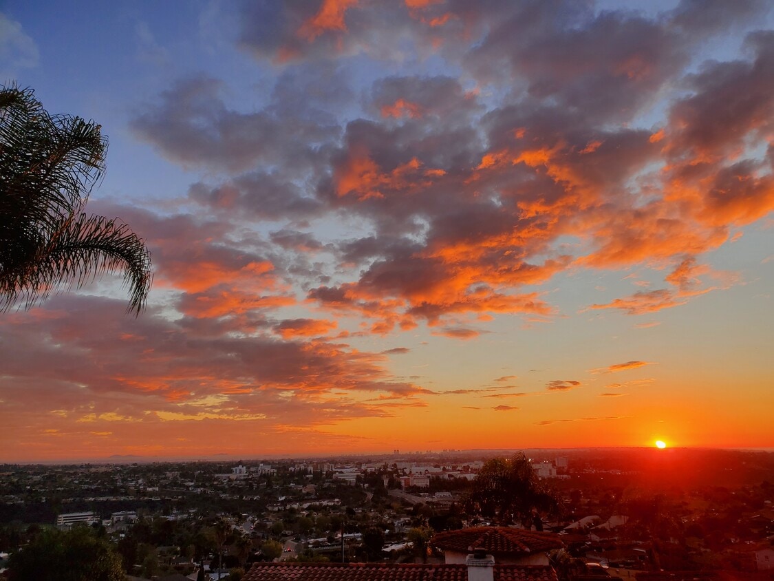 View from the unit - 6475 Dwane Ave