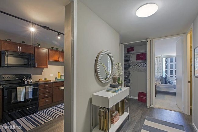 860 N Dewitt Pl Chicago Il 60611 Condo For Rent In Chicago Il Apartments Com 860 N Dewitt Pl Chicago Il 60611 Condo For Rent In Chicago Il Apartments Com